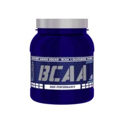FIT WHEY BCAA 500G