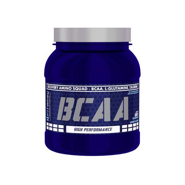 FIT WHEY BCAA 500G