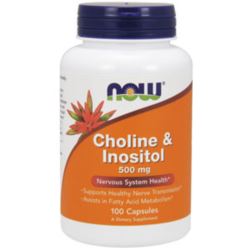 NOW CHOLINE AND INOSITOL 500MG 100 caps